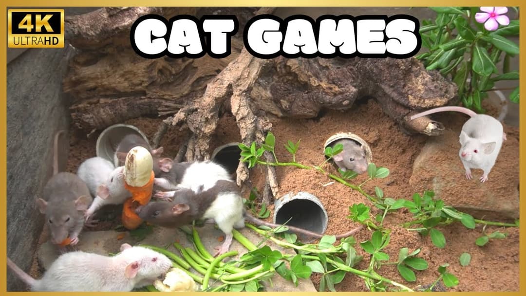 Cat TV for Cats 🐱🐭| Mice Hide & Seek Game | 8 Hours | Cat Games | Mice for Kittens