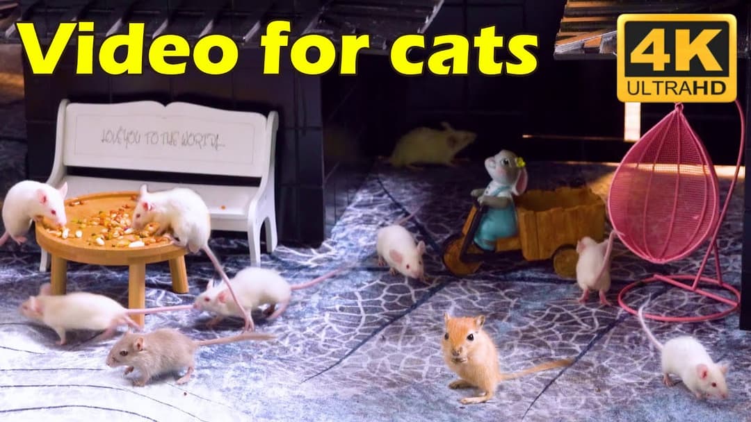Cat TV: Endless Hide & Seek with Tiny Mice - 3 Hours of 4K UHD Fun for Your Cat! | Catflix