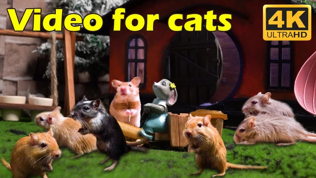 Cat TV: Endless Hide & Seek Fun with Tiny Mice in 4K UHD - 3 Hours of Entertainment | Catflix