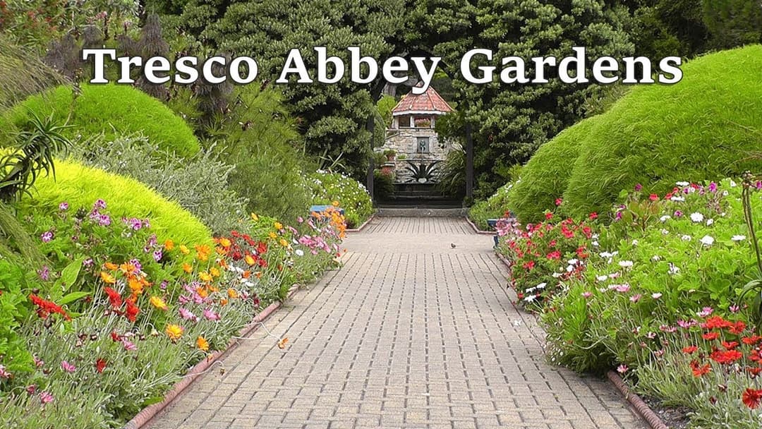 Enjoy Relaxing Bird Sounds at Tresco Abbey Gardens on The Isles of Scilly ONE HOUR