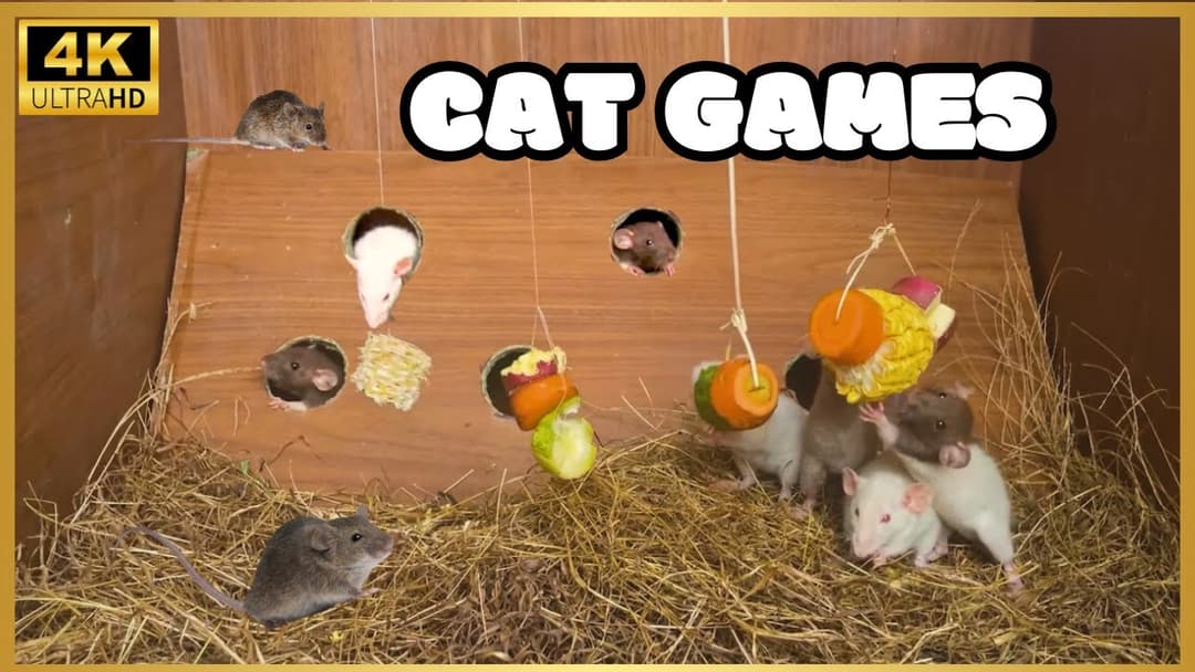 Cat TV for Cats to Watch🐱| Mice hide & seek and play on screen | Cat Games | Mice for Kittens