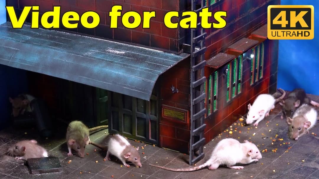 Cat TV: Mesmerizing 3-Hour Tiny Mice Hide & Seek in 4K UHD – Cats' Favorite!