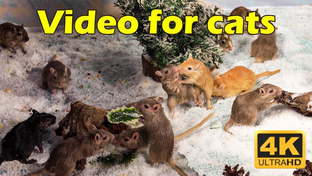 Cat TV Deluxe: Endless Hide & Seek with Tiny Mice – 3 Hours of Fun | Catflix