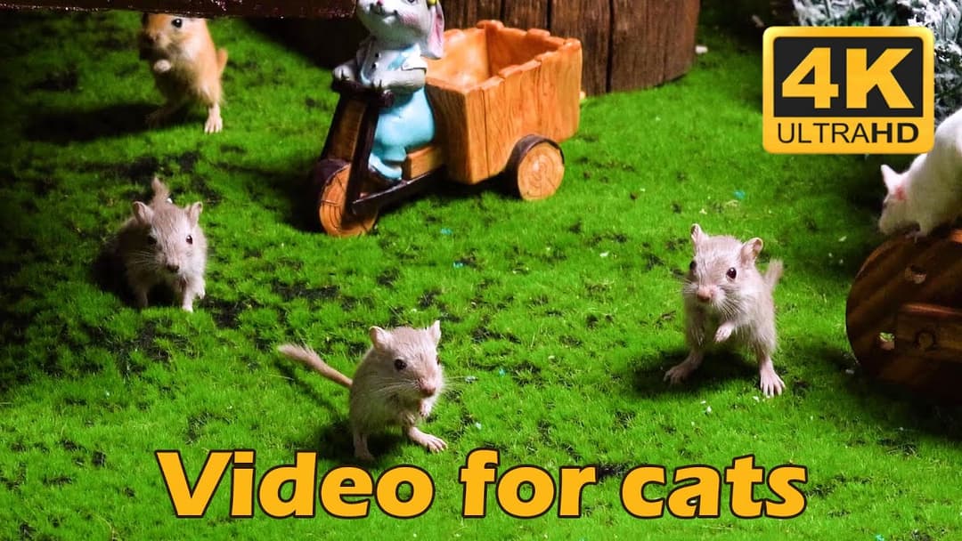 Cat TV: Endless Hide & Seek - 3 Hours of Tiny Mice Scurrying in 4K UHD | Catflix