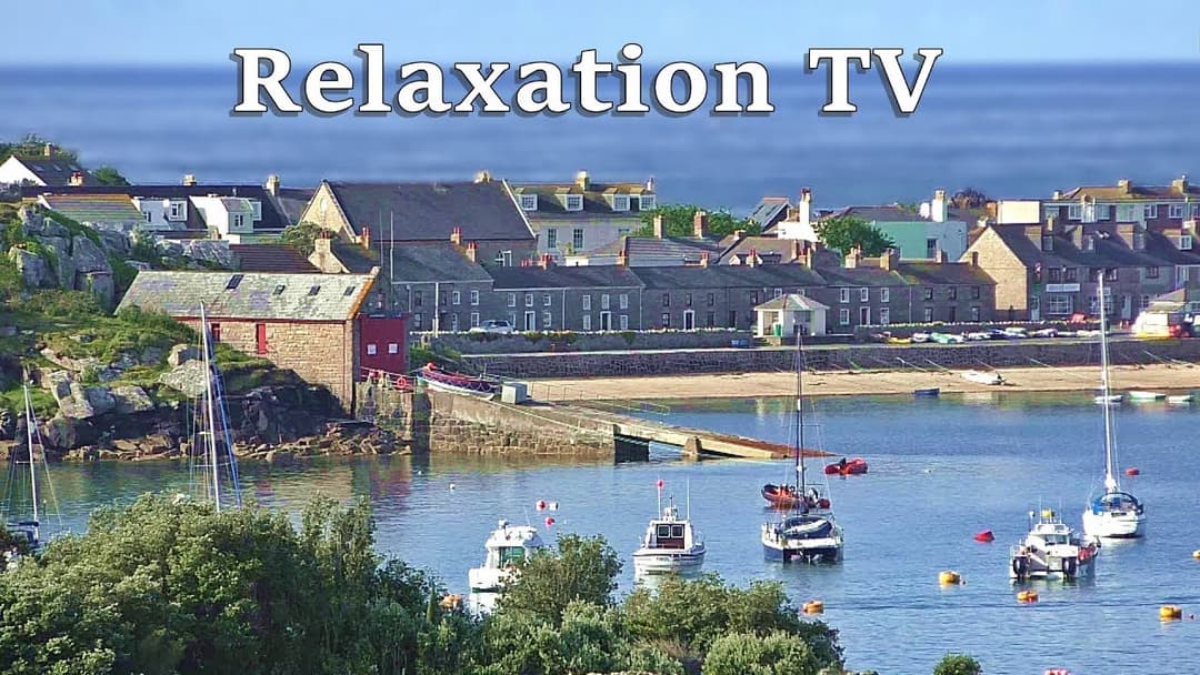 Relax Your Dog TV : Beautiful Morning Sounds and Scenes - 8 HOURS ~ Relax with Nature