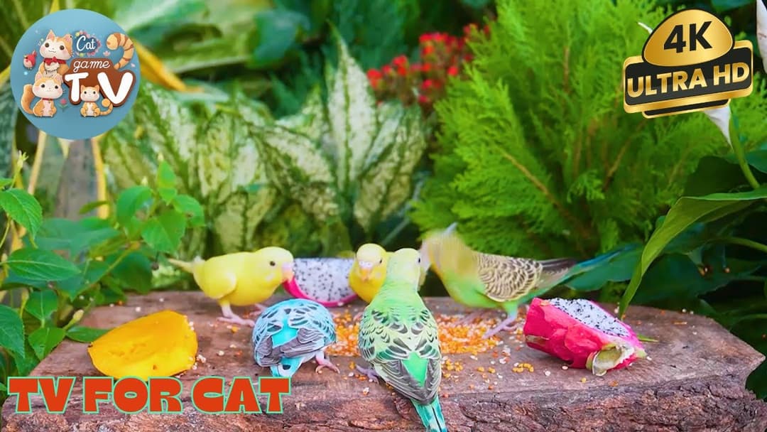 🔴😺Bustling Lunch Birds, Squirrels & Chipmunks 🦜! Live 12 Hour Cat TV Videos | 4K HDR ULTRA