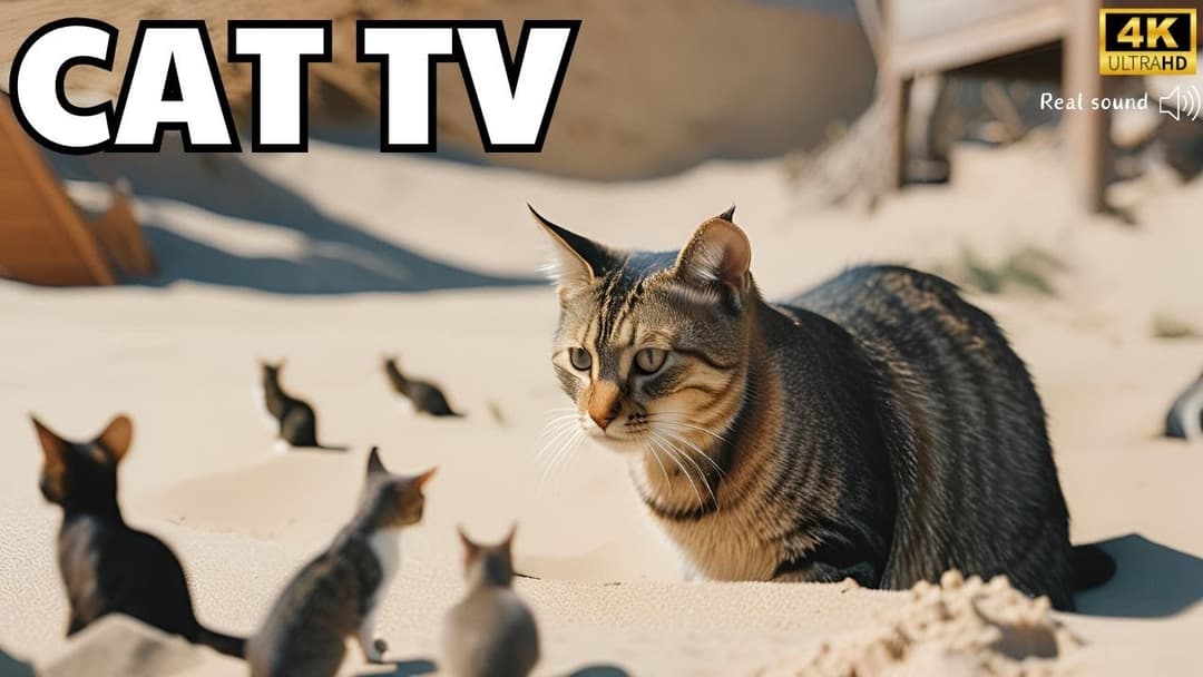 Cat TV for Cats to Watch🐱| Adorable Mice Squabble and Squeak While Digging Burrow | 3Hrs | Cat games