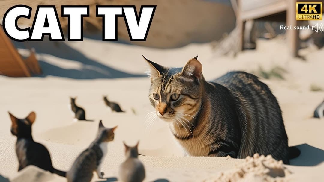 Cat TV for cats to watch: Mice Hide and Seek Fun 4k UHD!