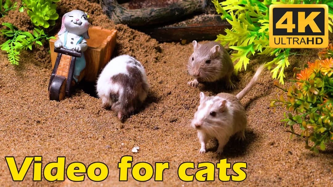 Cat TV: 3 Hours of Tiny Mice Hiding and Running in Stunning 4K UHD | Catflix
