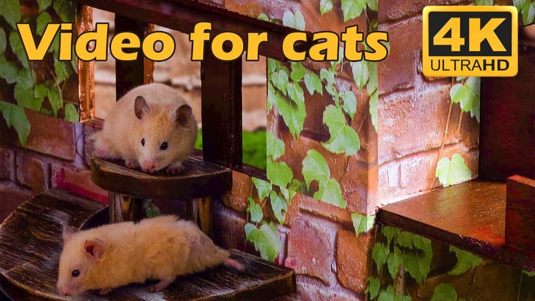 Cat TV: Tiny Mice Escapades in 4K UHD - 3 Hours of Playtime Fun for Cats | Catflix