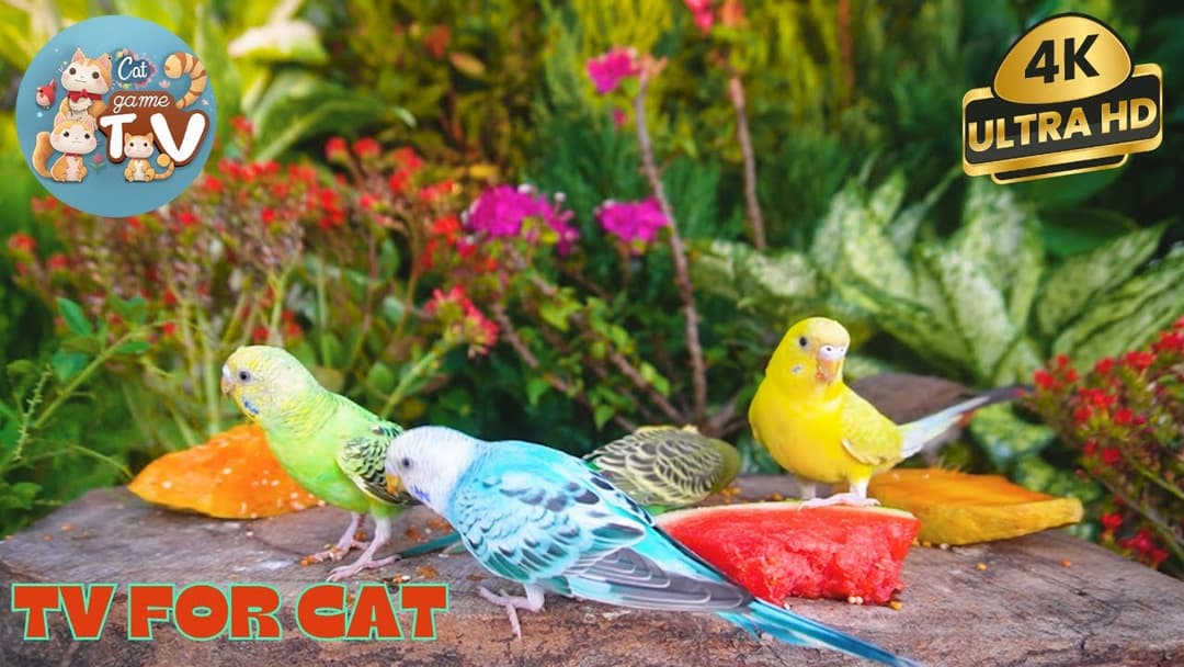 🔴🐱Picnic for Chipmunks, Birds & Squirrels🦜! Live 12 Hour Cat TV Videos | 4K HDR ULTRA