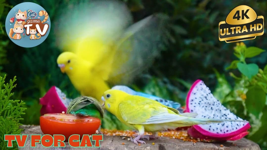 Turkeys, Chipmunks, Squirrels & Forest Friends in Harmony 🦜! 8 Hour Cat TV Videos | 4K HDR ULTRA