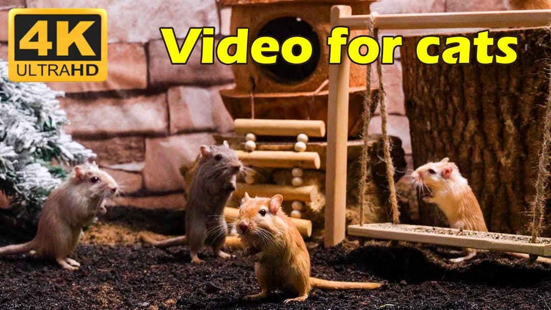 Cat TV: Endless Mouse Chase for Cats - 3 Hours of Tiny Mice in 4K UHD | Catflix