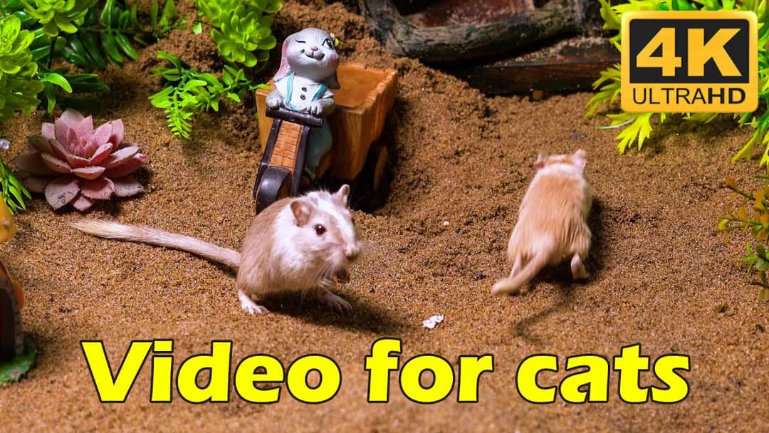 Cat TV: Tiny Mice Hide & Seek Marathon in 4K UHD - 3 Hours of Feline Fun | Catflix