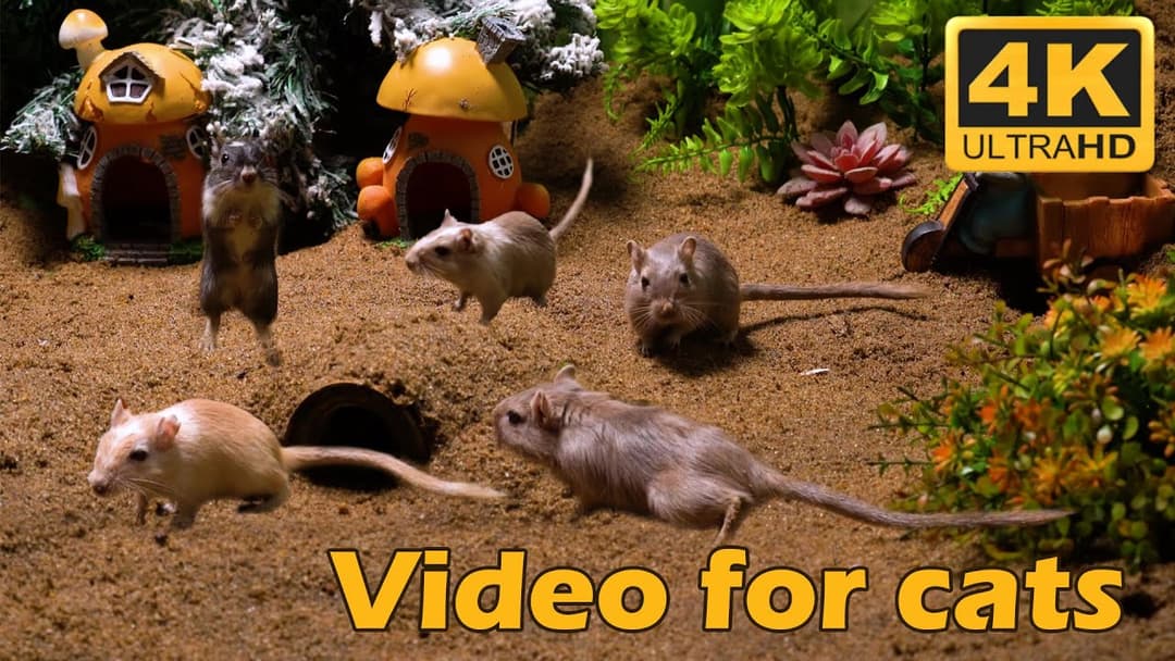 Cat TV: Nonstop Hide & Seek Fun with Tiny Mice in 4K UHD – 3 Hours of Entertainment | Catflix