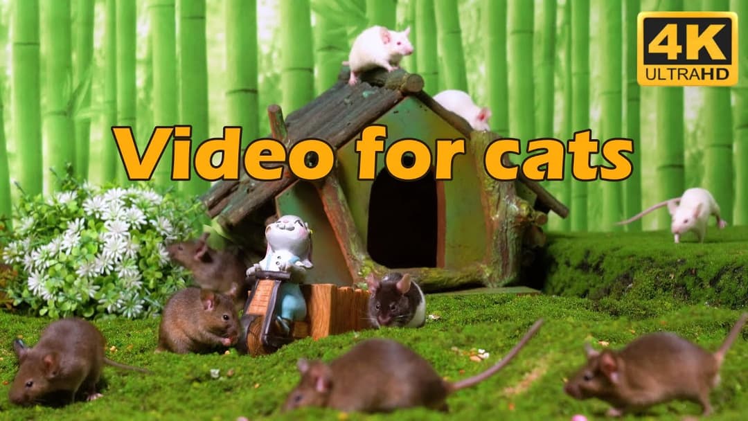 Cat TV: Endless Hide & Seek Fun with Tiny Mice for Cats in Stunning 4K UHD - 3 Hours | Catflix