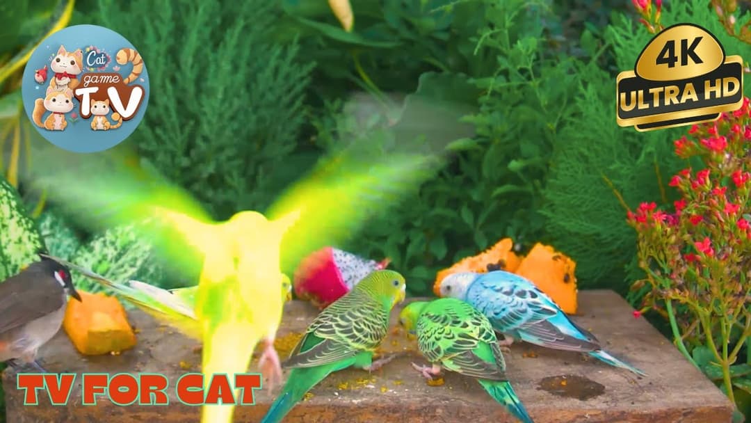 🔴😺Chipmunks, Brown Squirrels & Cute Birds Friendly 🦜! Live 12 Hour Cat TV Videos | 4K HDR ULTRA