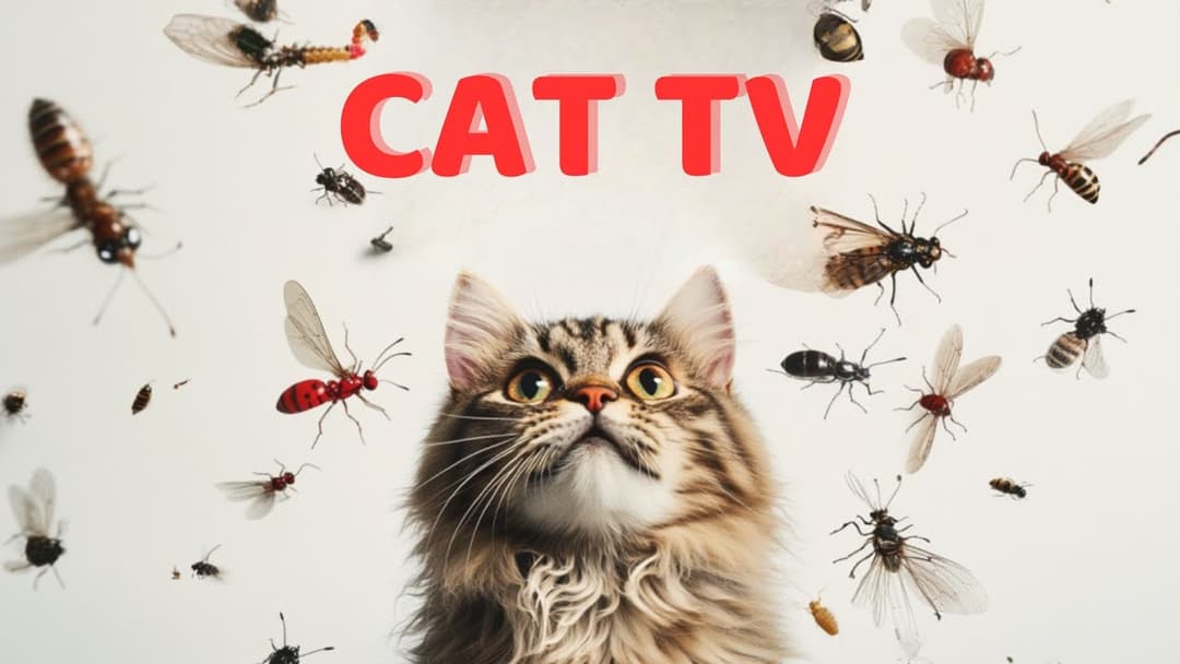 CAT GAMES | Keep Your Furry Friend Active and Happy Ep10 | 3 HOURS 🐝🐞🦋🦎🦜🐭🧵