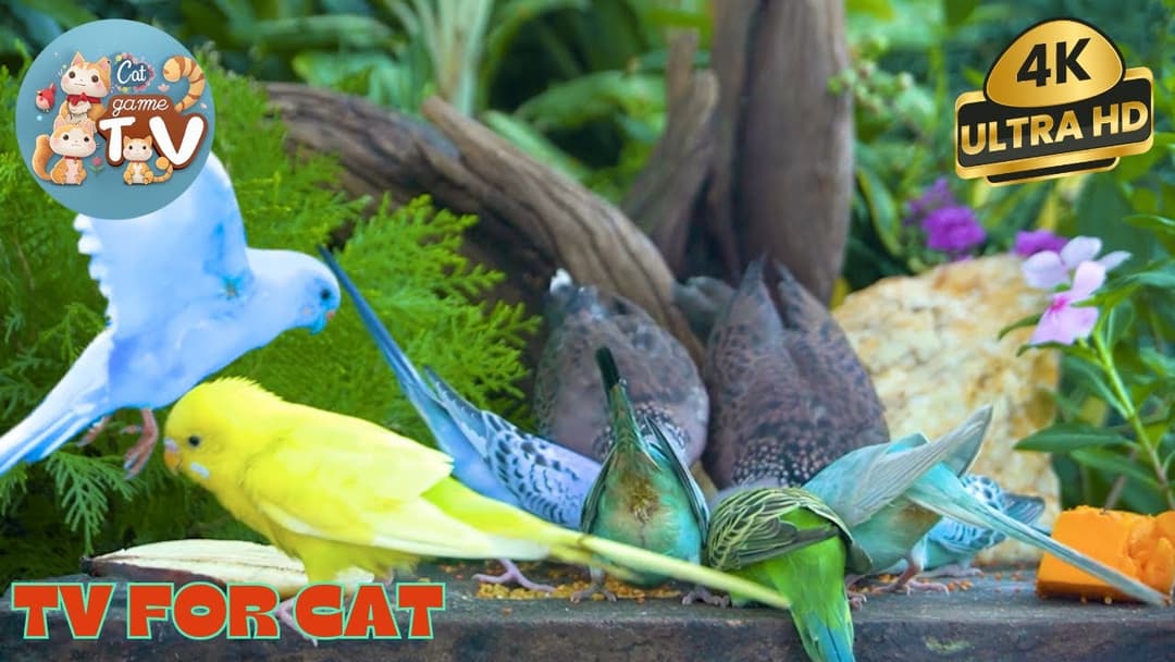 🔴😺Summer Delight🌞 Baby Birds Feasting in the Forest 🐦 Live 12 Hrs Cat TV for Pets & People