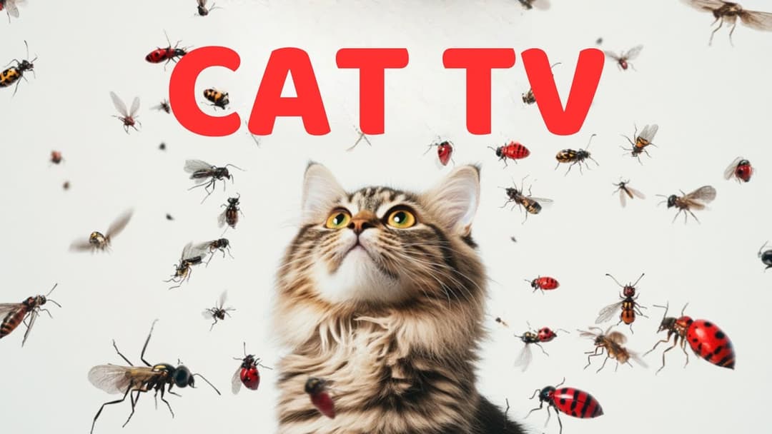 CAT GAMES | Keep Your Furry Friend Active and Happy Ep13 | 3 HOURS 🐝🐞🦋🦎🦜🐭🧵