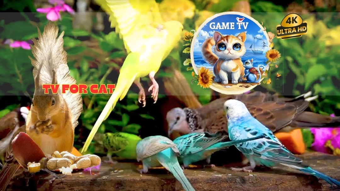 😺Cardinals, Jays, Chipmunks and Backyard Animals! 8 Hour Summer Cat TV for Pets to Watch