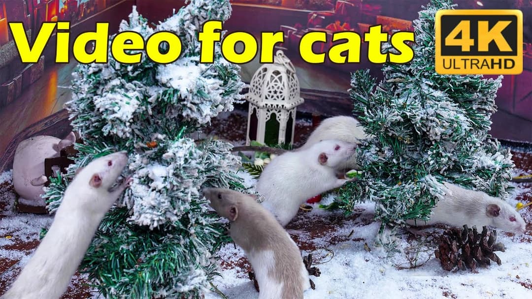 Cat TV: 3 Hours of Non-Stop Fun for Cats in 4K UHD – Mouse Hunt Extravaganza | Catflix