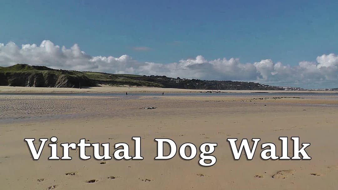 TV for Dogs : Virtual Dog Walk TV - Hayle to Hayle Beach
