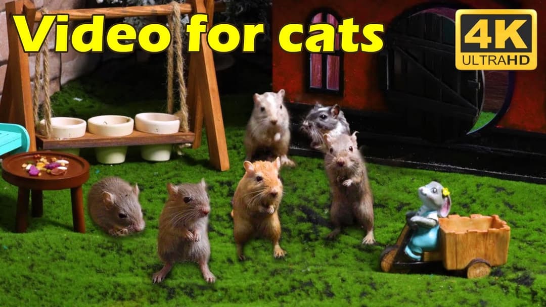 Cat TV: Epic Mouse Hide and Seek Chase in 4K UHD – 3 Hours of Non-Stop Fun for Your Cat! | Catflix
