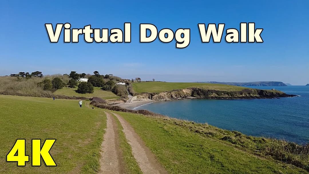 TV for Dogs - Dog Walk TV ~ Virtual Dog Walk Around Portloe and Portscatho in Cornwall ⭐ 4K ⭐