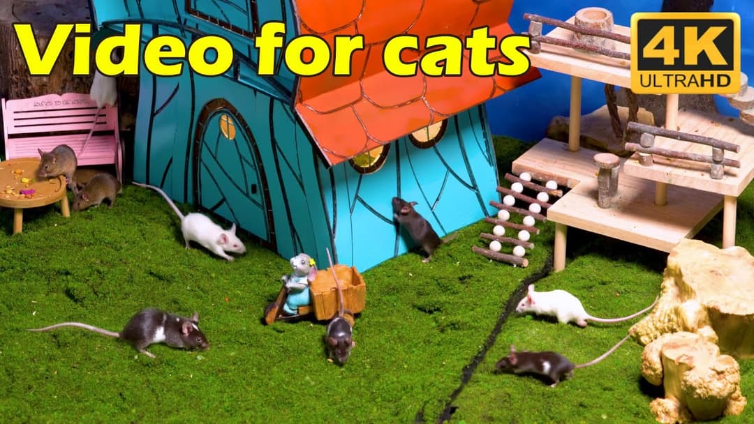 Cat TV: The Ultimate Tiny Mice Hide & Seek Marathon in 4K UHD - 3 Hours | Catflix