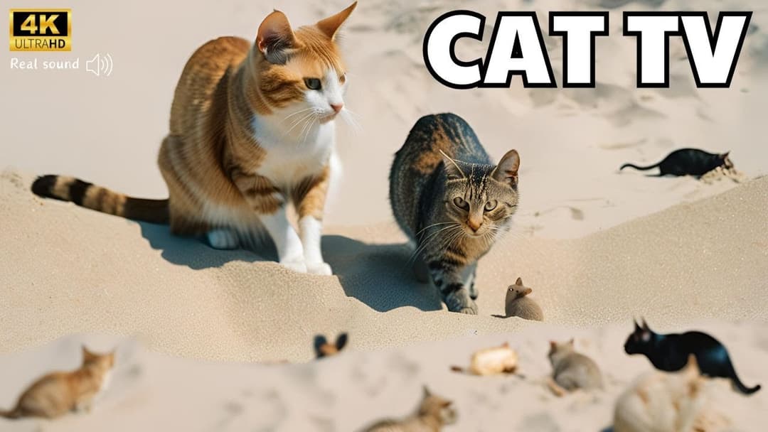 Ultimate Cat TV Compilation: Mouse Hide & Seek - Play on screen - Cat Games - Mice for kitten - 8Hrs