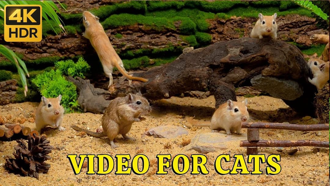 4K HDR Mice Playtime for Cats: Hide & Seek Jungle Tower – Tiny Mouse Climbs Tree Holes & Bridge