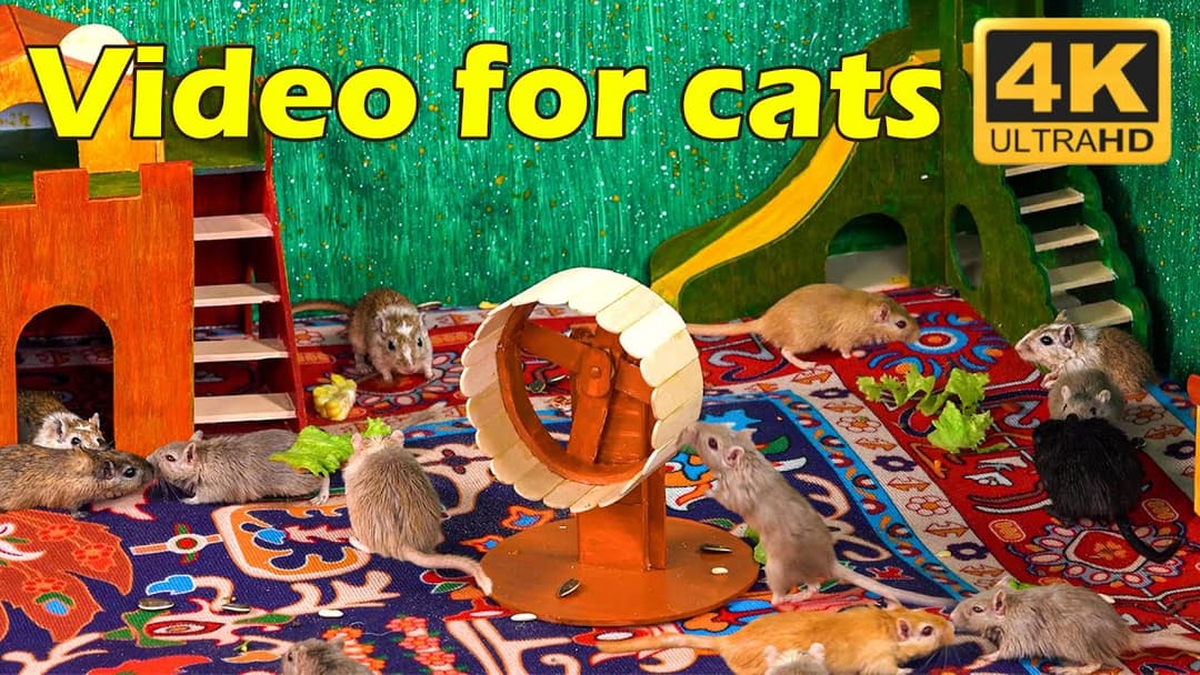 Mouse Mania: 3 Hours of Hide & Seek in 4K UHD - Ultimate Fun for Cats | Catflix